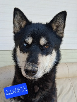 Maska